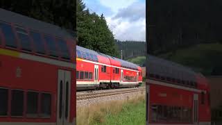 146 231 Radolfzell am Bodensee  Regional Express Karlsruhe  Offenburg  Konstanz 🇩🇪 [upl. by Luke]