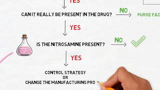 Nitrosamines risk assessment step 2 [upl. by Keen524]