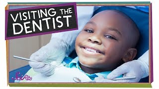 Visiting the Dentist  Health for Kids  SciShow Kids [upl. by Inar]