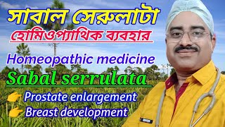 Homeopathic medicine sabal serrulata  sabal serrulata q  sabal serrulata homeopathy in bangla [upl. by Lopes577]