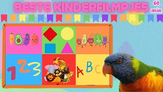 Beste Kinderfilmpjes voor Peuters en Kleuters💯 Alfabet❤️Cijfers💙Kleuren🧡Tellen💜Vormen💛Woordjes💚60MIN [upl. by Downes]