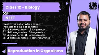 Identify the option which correctly indicates the type of gametes a AHeterogametes BIsoga [upl. by Shaikh642]