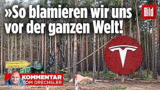 ÖkoAktivisten wollen TeslaWerk in Brandenburg stoppen  Kommentar [upl. by Chelton]