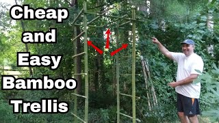 Easy DIY Bamboo Trellis  for Climbing Plants [upl. by Eibob]