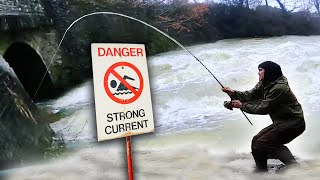 Fishing a FLOODED river for powerful fish [upl. by Gray]