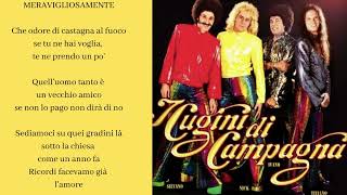 Le più belle canzoni de I Cugini di campagna  quotMeravigliosamentequot [upl. by Clarance399]