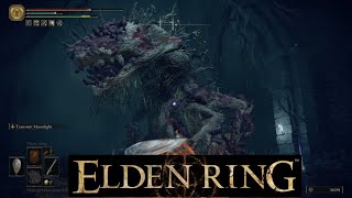 Elden Ring  Under Stormveil Castle the Ulcerated Tree Spirit [upl. by Oisorbma]