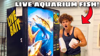 I Found VENDING MACHINE Filled With LIVE AQUARIUM FISH [upl. by Nnylorac451]