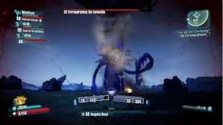 Borderlands 2  Terramorphous the Invincible Boss Fight [upl. by Gillan]