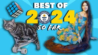 BEST WORLD RECORDS of 2024 so far  Guinness World Records [upl. by Anilek379]