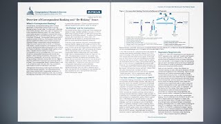 Overview of Correspondent Banking [upl. by Xilef]