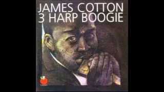 3 HARP BOOGIE James CottonPaul ButterfieldBilly Boy Arnold [upl. by Emmi]