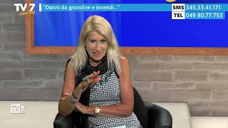 Danni da grandine e incendio  Tv7 con Voi 2724 1 di 2 [upl. by Htenaj]