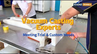 Vacuum Casting Experts For All Materials amp Shapes Meeting Trial amp Custom Needs [upl. by Ahsenek71]