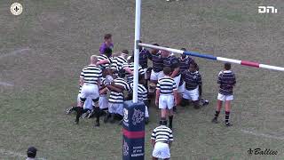 2024 Rugby  Hilton College u14A vs Westville Boys High School u14A [upl. by Amaso]