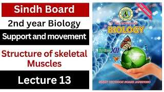 structure of skeletal muscle  support and movement  class 12 biology Sindh board New book [upl. by Ainoz]