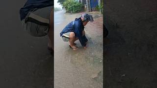 This Culvert Possible For Drain Flood Rain unclog rainwater drain shorts [upl. by Fulcher836]