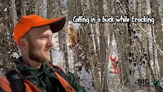 CALLING IN a BIG WOODS BUCK with Logan Rackliff  Big Woods Bucks [upl. by Reddy862]