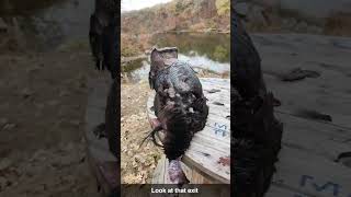 Nebraska Deer and Turkey Hunting 2024 Fall Seasom [upl. by Lovato]