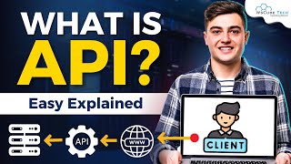 What is API and How does it Work  Application Programming Interface Fully Explained [upl. by Irita]