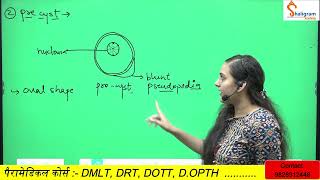 Entamoeba histolytica Morphology Life cycle in hindi PathogenicityLab diagnosis [upl. by Kirk462]