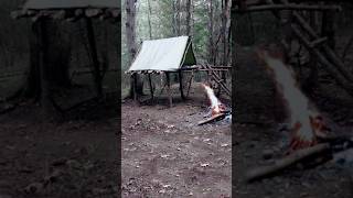 Building a wooden house a survival shelter in the forest and solo camp in the wood ASMR shorts [upl. by Drofkcor965]