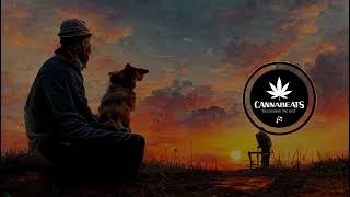 Pinsara Oba Hara පින්සර ඔබ හැර  CannaBeats Remix [upl. by Aisile285]