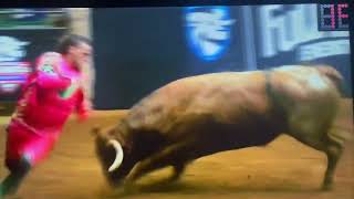 BEST of The ULTIMATE BULLFIGHTERS Vol 1 🤠🔥🤠 viralvideo ubf com22 youtubesearch [upl. by Jolda]