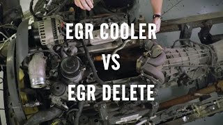 EGR Delete or EGR Cooler [upl. by Pallaton]