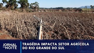 Rio Grande do Sul deve perder 10 do arroz ainda não colhido  Jornal da Noite [upl. by Gaillard]