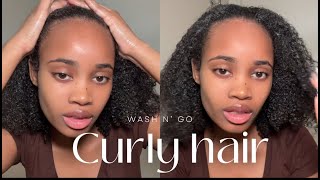 CURLY HAIR ROUTINE  WASH amp GO [upl. by Arataj922]