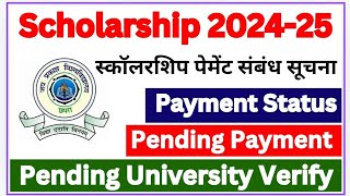 Scholarship 202425  Jp University scholarship 2024  scholarship matric  Intermediate [upl. by Ynalem372]