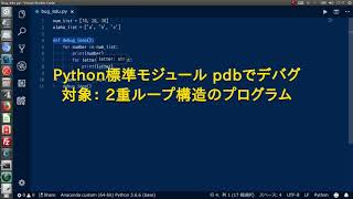 Python Debug Demo [upl. by Naitsyrk]