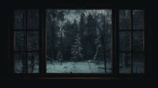 Snow amp Rain  Sleet in Forrest  Quiet Sounds Window View Edition  4k rain snow sleet [upl. by Sukcirdor240]