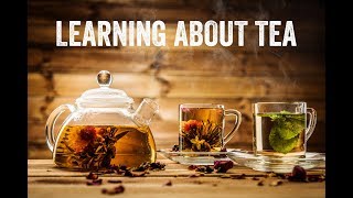 Understanding Tea with Don Mei [upl. by Caasi]