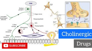 Cholinergic Drugs  Cholinergic Agonists amp Antagonists  Ocular Pharmacology [upl. by Anitroc]