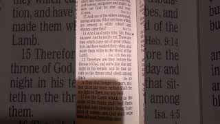 Revelation 714 KJV Jesus Christ Is The Lamb Of God Hallelujah Praise The Lord [upl. by Nahgrom389]