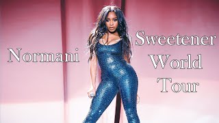 Normani  Live At The Sweetener World Tour  Filmed By You [upl. by Nairam]