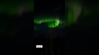 02Nov2022 norway norge naturelovers auroraborealis nature northernlights trending [upl. by Enattirb]