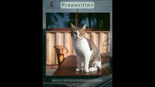 List of prepositions amp how to use them correctly [upl. by Enelyad561]