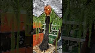 7ft Animated Pumpkin Scarecrow at Costco [upl. by Ninel]