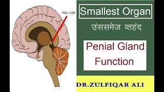 Lipoma गाँठki best homeopathic medicine new homeopathy shorts medicinal tips [upl. by Vipul981]