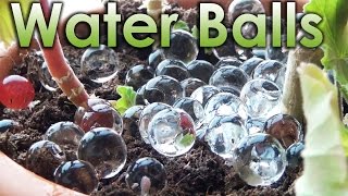 What is Water Balls Sodium Polyacrylate and Chemistry [upl. by Nolahp]