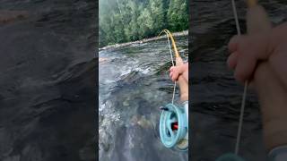 Salmonfishing Norway laksefiske fluefiske flugfiske flyfishing [upl. by Chambers]