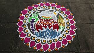 Easy Sankranthi Muggulu🌹5x3 dots Pongal 2023 Kolam🌹Sankranthi Rangoli🌹Pongal Pot Rangoli Designs [upl. by Leiuqese]