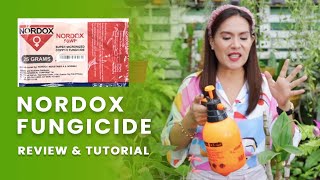 Nordox Fungicide Review and Tutorial for Phalaenopsis  Super Micronized Copper Fungicide [upl. by Elrem]