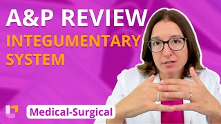 Integumentary System AampP Review MedicalSurgical MedSurg  LevelUpRN [upl. by Lilac]