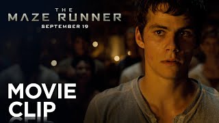 The Maze Runner  quotFightquot Clip HD  20th Century FOX [upl. by Anairuy]