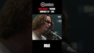 CHRIS CORNELL TOCANDO quotNOTHING COMPARES 2 U [upl. by Hale110]