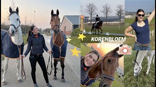 Internationaal Kronenberg  2 debuut dressuur amp springen DEEL 1 ✰vlog 228✰  Kristy Snepvangers [upl. by Aguste]